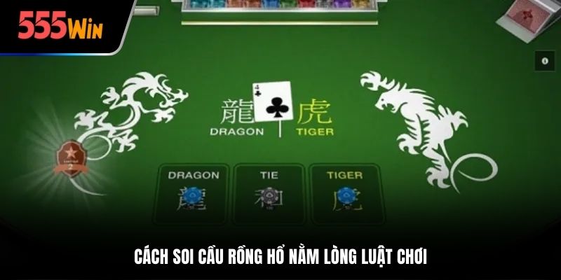 Cách soi cầu Rồng Hổ nằm lòng luật chơi